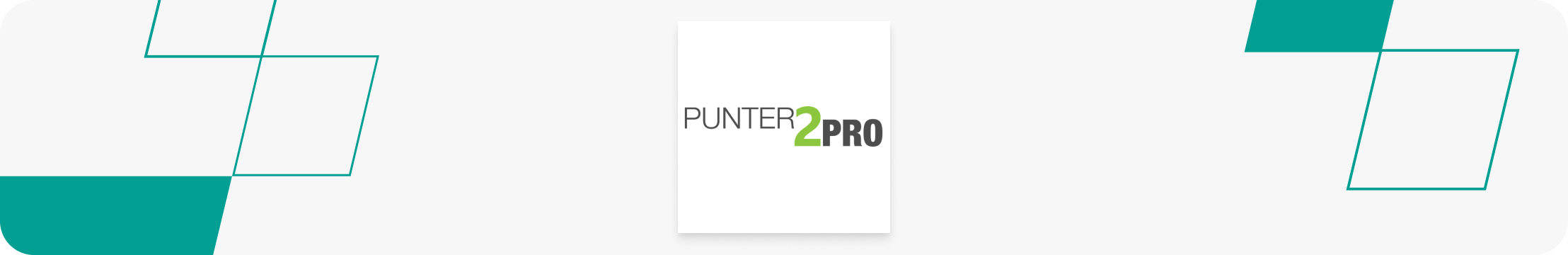 punter2pro logo banner